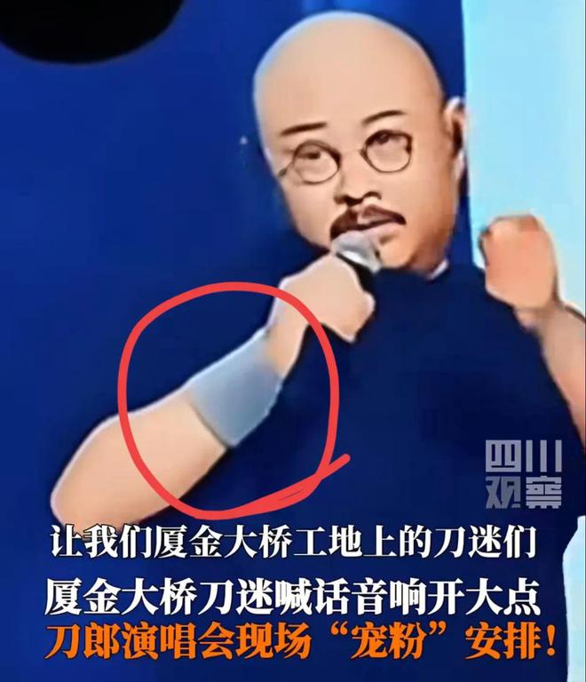 唱会临时加歌四大亮点不容错过！球王会体育app入口刀郎厦门演(图1)