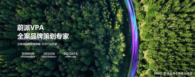 独特形象的综合艺术品牌全案设计：塑造